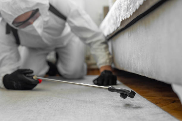 Professional Termite Control technician working in La Porte, TX