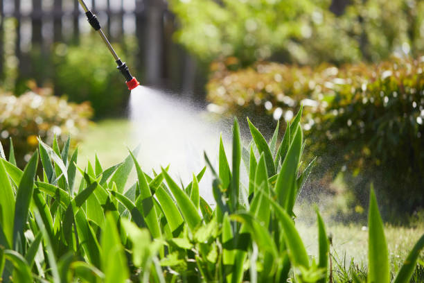 24/7 Emergency Termite Control experts in La Porte, TX
