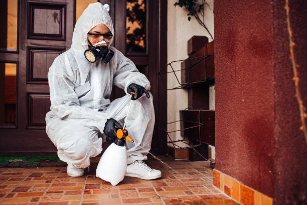 Reliable Termite Control contractor in La Porte, TX by Nex Pest Control