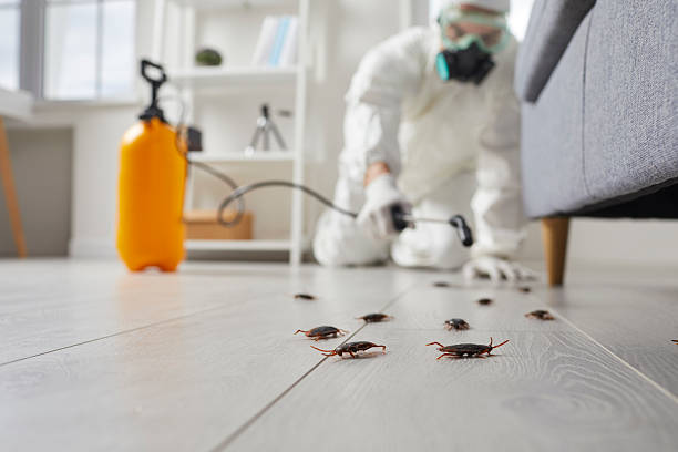 Trusted Cockroach Control service in La Porte, TX - Nex Pest Control